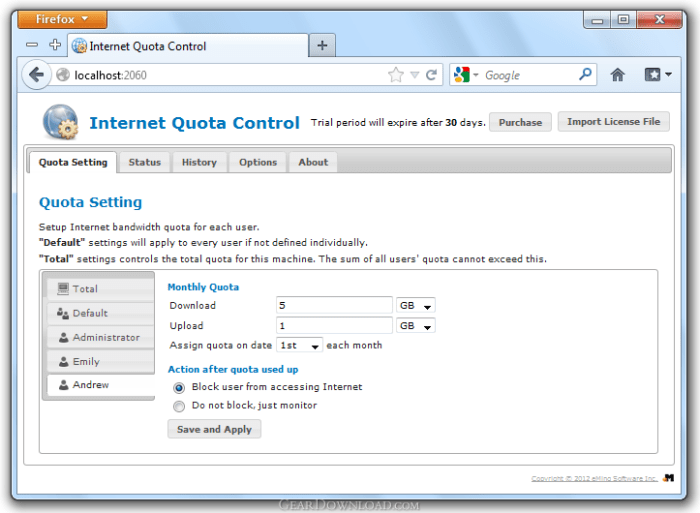 Internet quota control