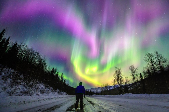 Waktu Terbaik Menyaksikan Aurora di Alaska