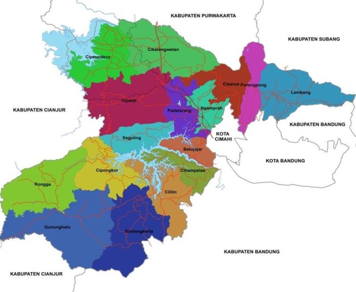 Demografi Kabupaten Pasaman Barat: Profil Penduduk yang Beragam