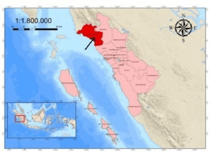 Geografis Kabupaten Pasaman Barat