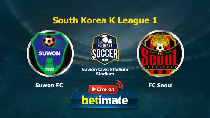 Hasil Pertandingan Suwon FC: Performa Tim dan Prospek Masa Depan