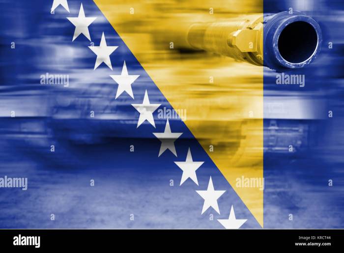 Media Sumbar – Kekuatan Militer Bosnia dan Herzegovina: Penjaga Perdamaian dan Stabilitas